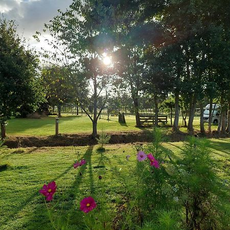 Erfgoed De Boemerang - Chalets Meppen Bagian luar foto