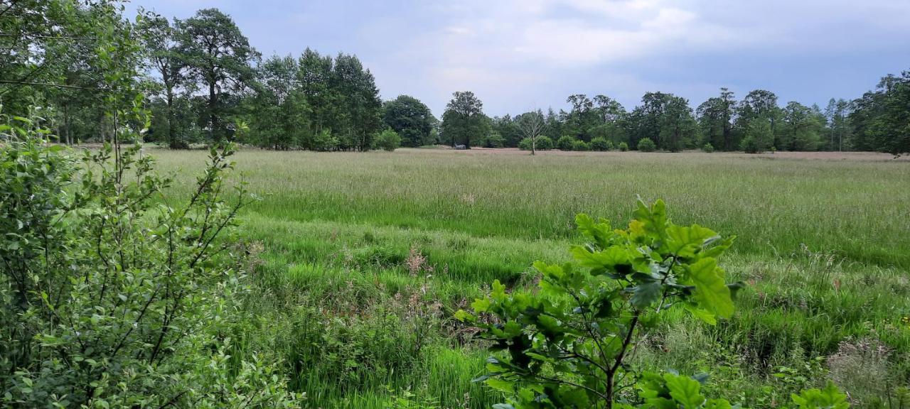 Erfgoed De Boemerang - Chalets Meppen Bagian luar foto